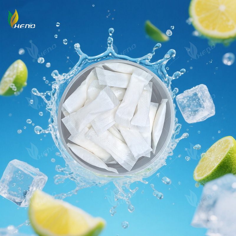 επαγγελματίες κατασκευαστές Φακελάκια νικοτίνης 6mg OEM